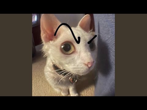 Ritmada Nova Holanda