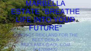 preview picture of video 'MARBELLA ESTATE.wmv'