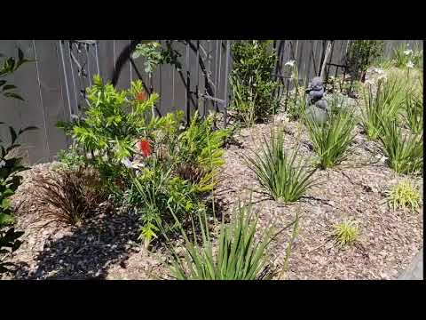 ImpressioNZ Outdoors video.