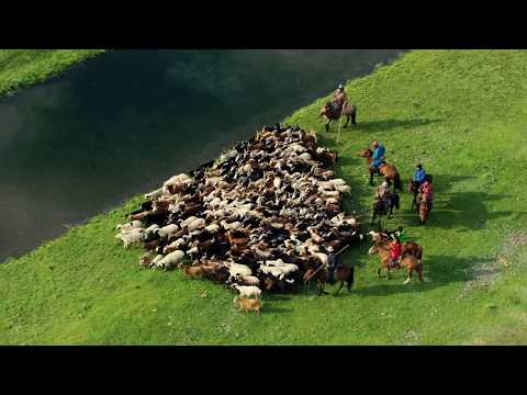 Erkhemee MTR - Munkh Tengeriin Rashaan