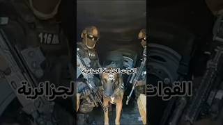 Download lagu Algerian Special Forces 🇩🇿☠️. #army #الجيش_الجزائري #edit #algeria #mali mp3