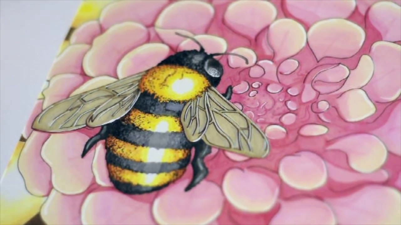 Interdependence IV w: Josh Turnbull