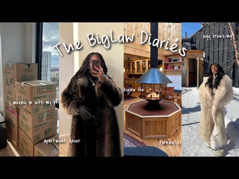 The BigLaw Diaries: turning 28, moving in with my boyfriend, work, egg freezing + more!
