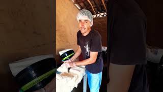 🧀🐄 Mais um dia de produção por aqui!#shorts #shortvideo #song #short #shortsfeed #subscribe
