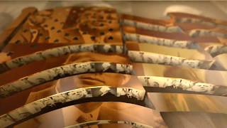 I Bleed Red, White and Blue: Proud to be American