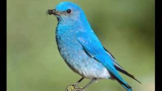 JOHNNY CLARKE - Zipadee doo dah - reggae roots dub Bunny Lee