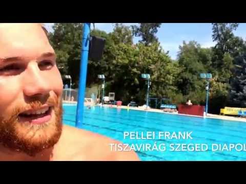 Pellei Frank nyilatkozata