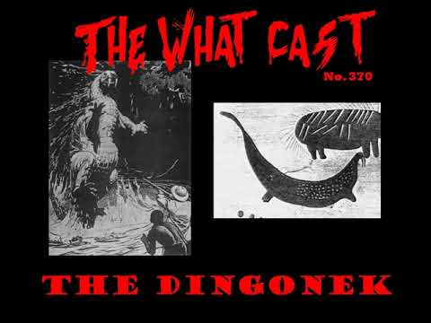The What Cast #370 - The Dingonek