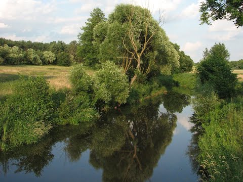 film z Osiedla Wilga, ul. Krasnali 38