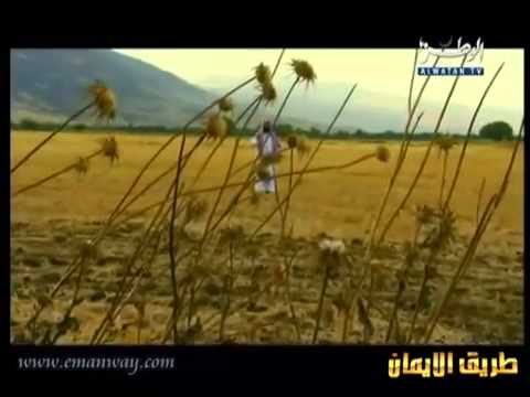قصص الأنبياء _ وفاة نبي الله سليمان عليه السلام 