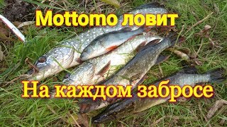 Воблеры - mottomo