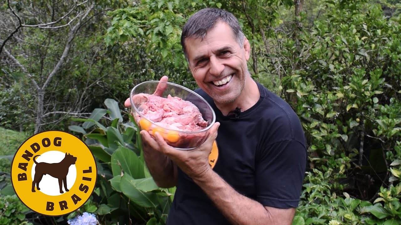 CARNE CRUA - como eu alimento os meus cães