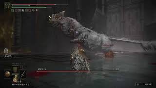 [完全初見]ノエデンリング　その24