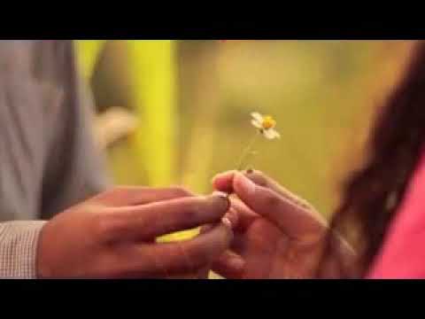 RILEX CLAN- SEPI HATI