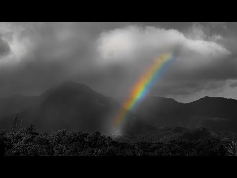 Terence McKenna: The Hawaiian Connection (True Hallucinations)