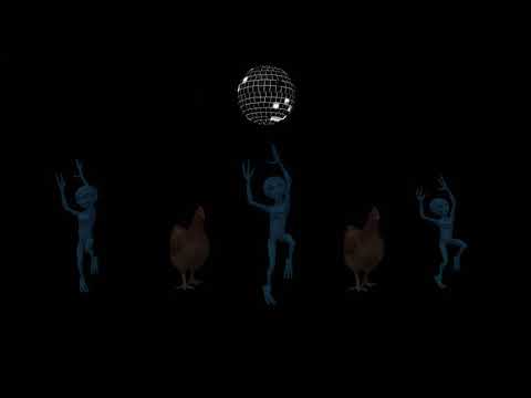 Maková panenka disco