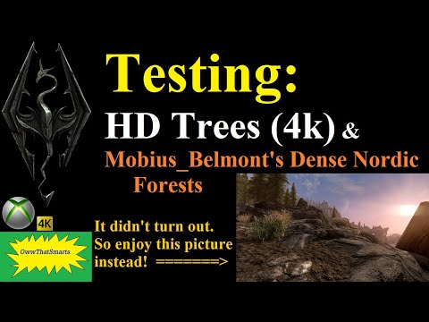 Skyrim (mods) - Testing:  HD Trees (4k) and Mobius_Belmont's Dense Nordic Forests