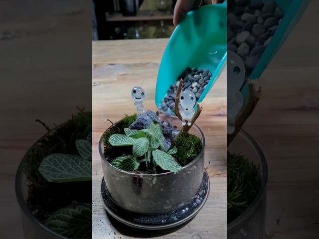 Vídeo relacionado con LIUYIDM Figuras Decorativas Mononoke 10 Piezas Elfos Decoración de Jardín Resina Elfos Miniatura Kodama Luminoso Azul, Adecuado para La Noche, Jardín, Plantas en Macetas, Decoración de Halloween