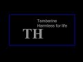 Remembering The Parody Of Thx Trailers