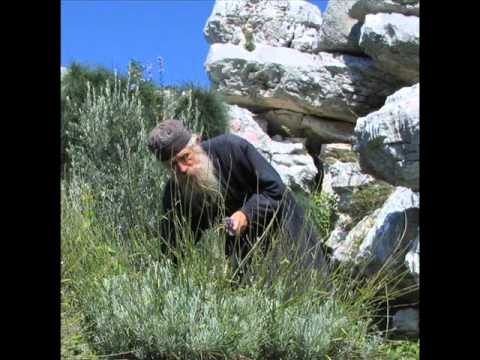 download lagu mp3 mp4 пустельник, download lagu пустельник gratis, unduh video klip Download пустельник Mp3 dan Mp4 Unlimited Gratis