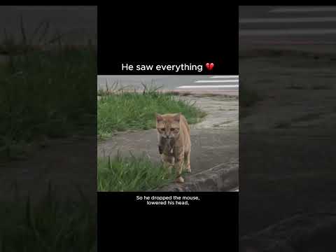 He saw everything 💔