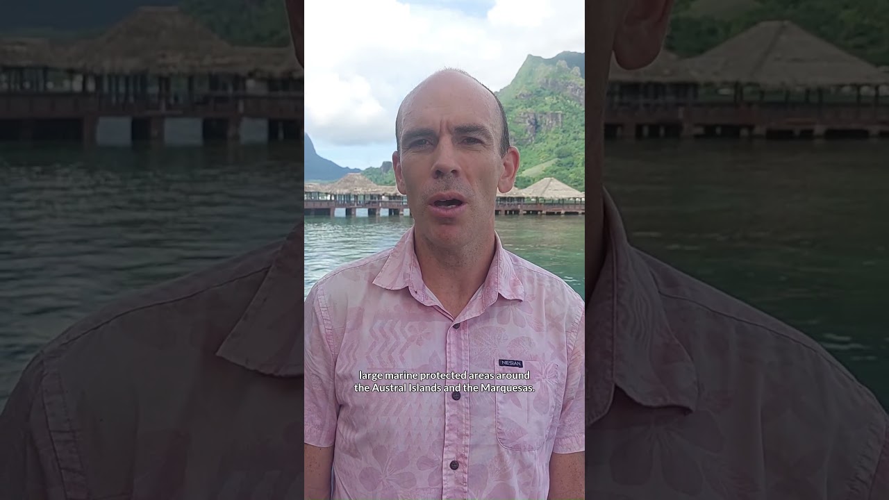 French Polynesia’s Marine Protected Areas: Why We’re Excited About Conservation