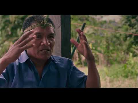 En busca del indio conejo | Tráiler