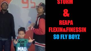 STORM N REAPA--FLEX N FINESSIN