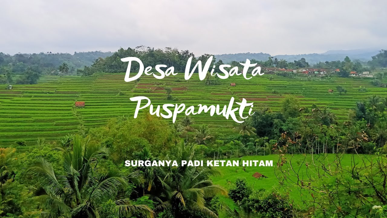 Profil Desa Puspamukti