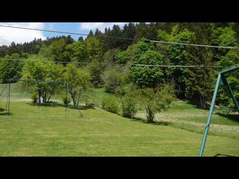 スイスアルプスを望みながらよく遊びよく学べる環境。幼児・小学生留学のプレフルーリ【スイス留学.com】