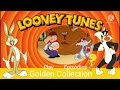 Opening To Looney Tunes Golden Collection Dvd Menu