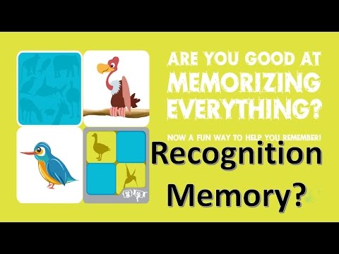 What is Recognition Memory ?