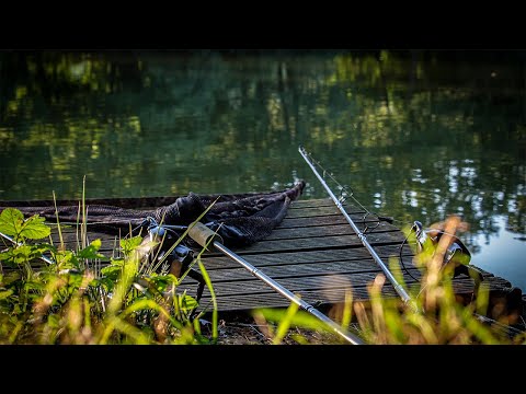 Fishing a FORGOTTEN Farm Pond For CARP 🌳🇬🇧