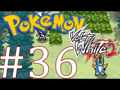 Let´s Play Pokemon Volt White 2 Nuzlocke Challenge Modus Part 36: Entspannt auf Route 13!