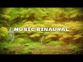 Ethereal Serenity Official Video