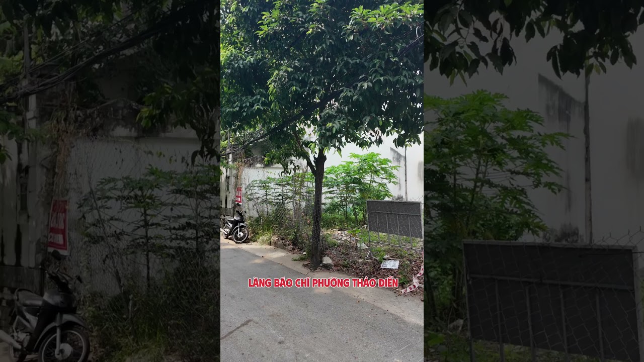 Ảnh đại diện Video