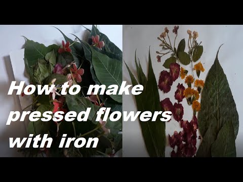 How to make pressed flowers with iron /how to make pressed flowers at home,by Nosheen Ch.