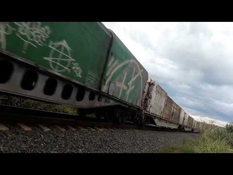 Suzano cellulose empty train passing through Taquaritinga Brazil
