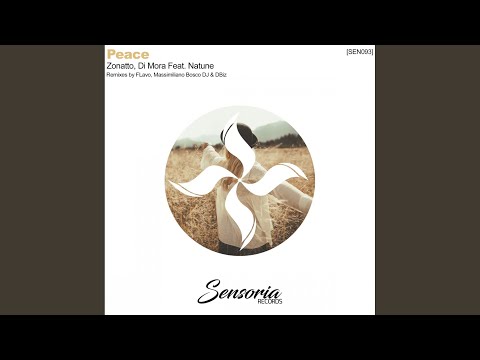 Peace (FLavo Remix)
