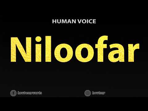 How To Pronounce Niloofar