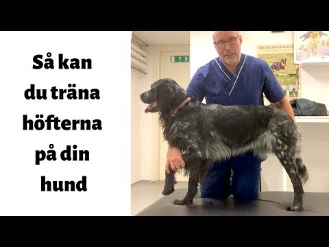 Träning för att förebygga höftproblem