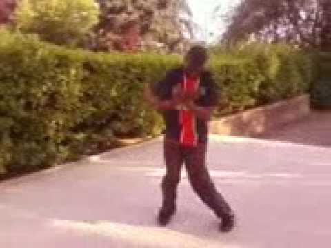 logobi  glodosh meska et kikso san forcer vlb zoo