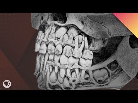 Where Do Teeth Come From?