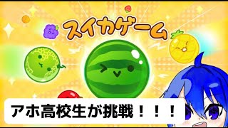 【初見さん大歓迎】アホな高校生がスイカゲームします！！！！