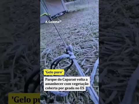 Parque Nacional do Caparaó registra geada e temperaturas de -4°C no Espírito Santo #shorts #noticias