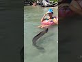 HUGE Eel Gets Friendly with Swimmer! 🐍🤯 | Unbelievable & Creepy Encounter!
