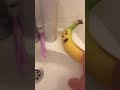 Washing My Egg