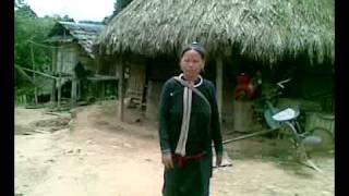 preview picture of video 'Aldeia de etnia Lao new'