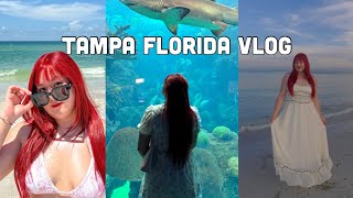 Tampa Florida Vlog: Beach Hopping, Florida Aquarium, Midtown Boba, Lake Eola Park, Orlando Florida