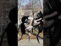 Cartoon cat vs cartoon dog #shorts